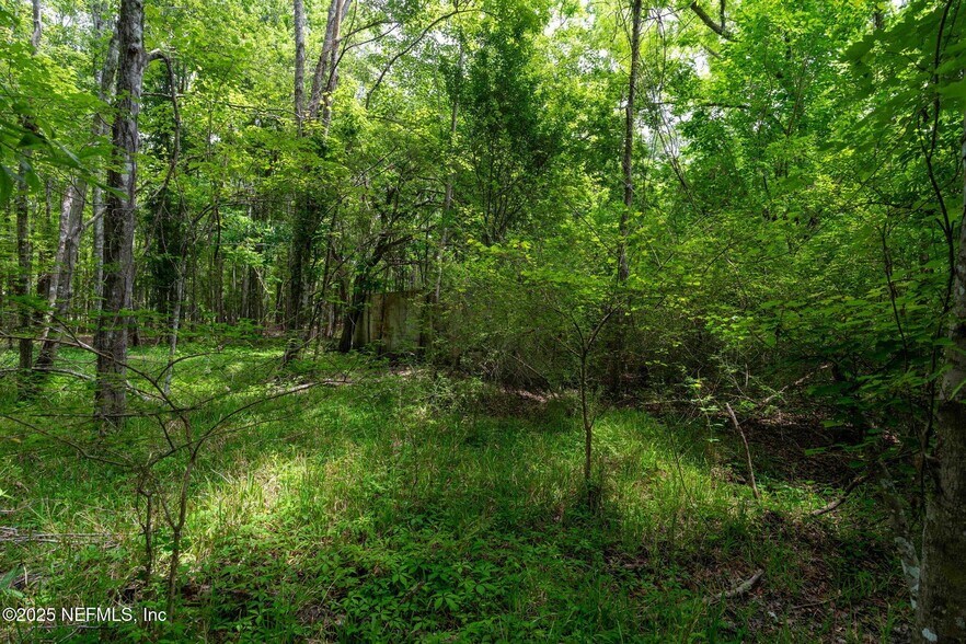 More Photos Of 8549 Acree Rd, Jacksonville Land For Sale