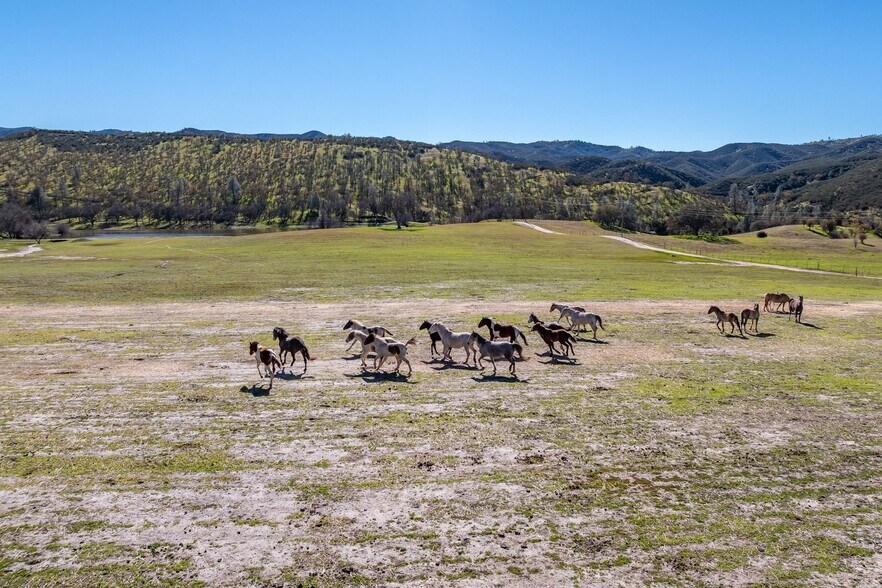 More Photos Of 535 Calf Canyon Hwy, Creston Winery Vineyard For Sale