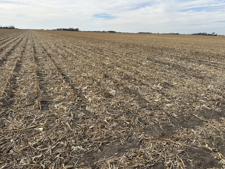 More Photos Of Lonetree Road, Central City Land For Sale