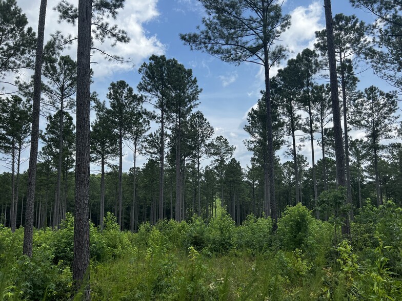 Primary Photo Of Hwy 74, Forsyth Land For Sale