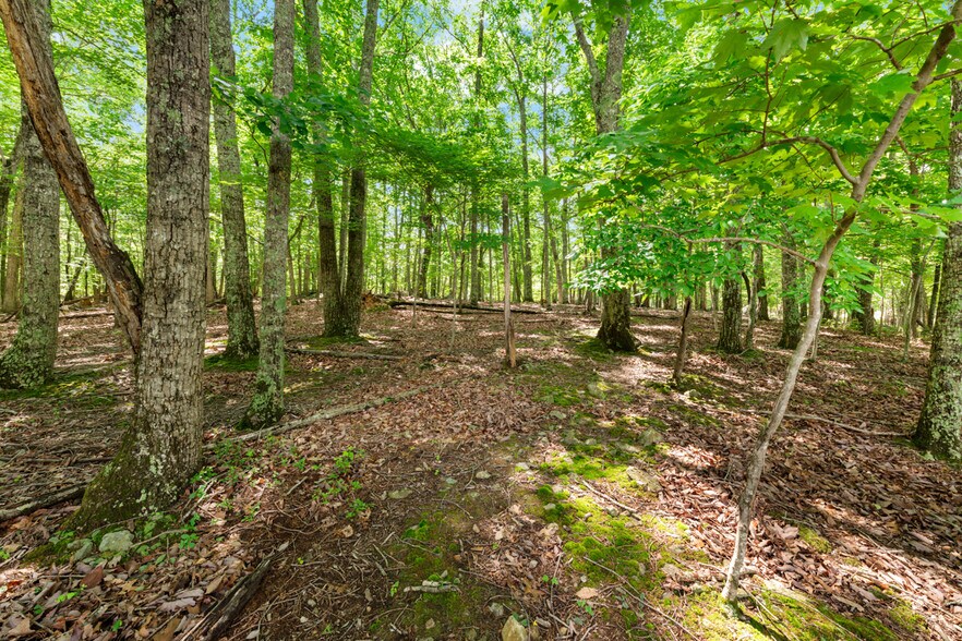 More Photos Of 2853 Franklin Rd, Hillsborough Land For Sale