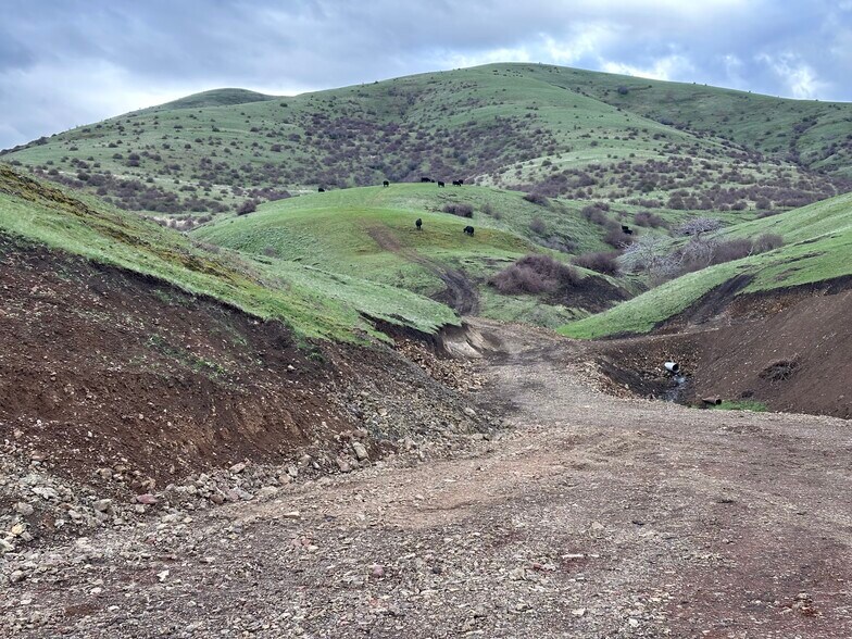 More Photos Of 46054 McKay Creek Rd, Pilot Rock Land For Sale