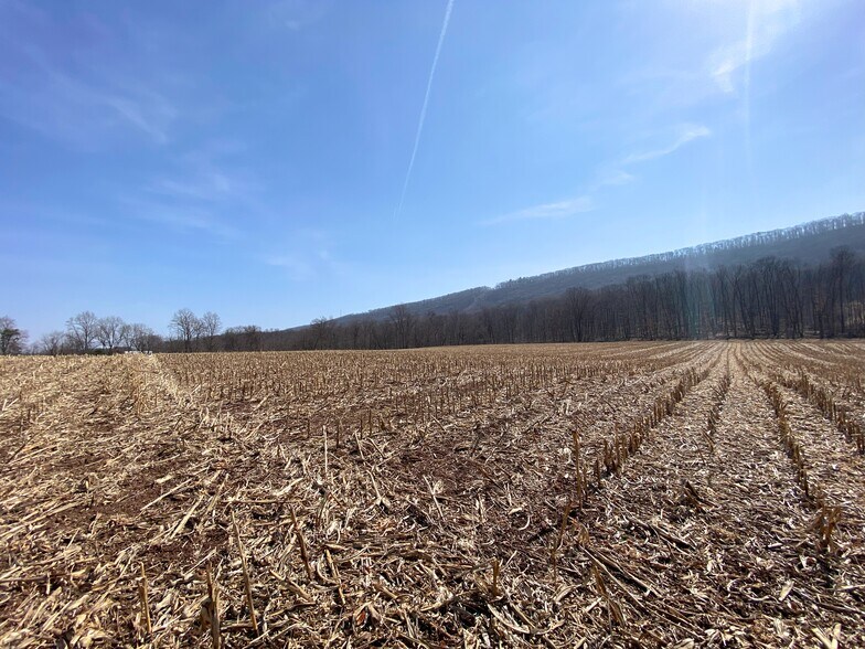 More Photos Of 880 Little Mountain Rd, Sunbury Land For Sale