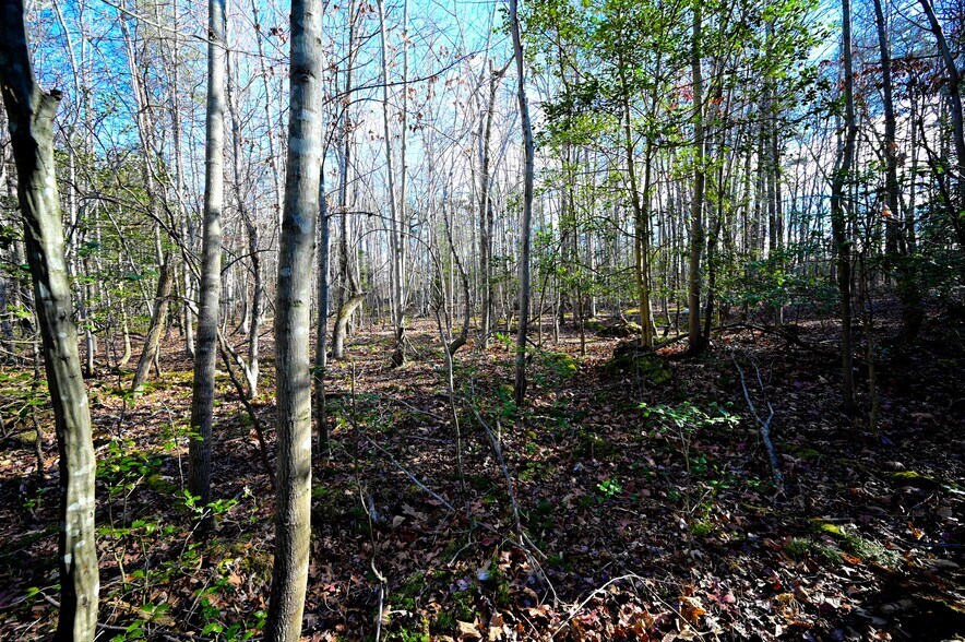 More Photos Of Stuckey Rd @ Mason Springs Rd, Indian Head Land For Sale