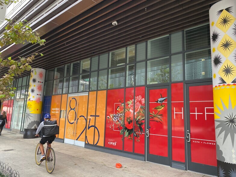 More Photos Of 825 S Hill St, Los Angeles Apartments For Lease