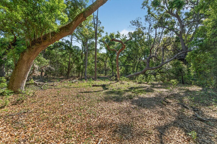 More Photos Of Carlton Rd, Plant City Land For Sale