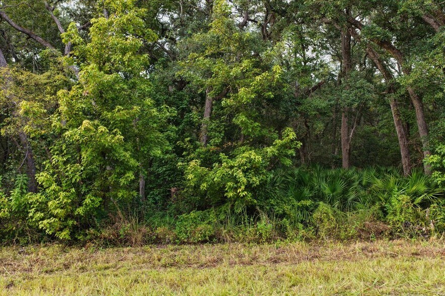 More Photos Of Unassigned Northeast 206th Avenue @ NE 711th Street, Old Town Land For Sale
