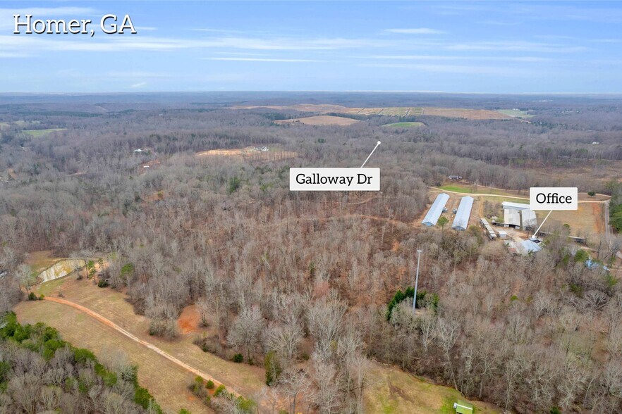 More Photos Of Chatham Rd, Homer Land For Sale