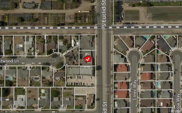 More Photos Of 1645 S Euclid St, Anaheim Light Distribution For Sale