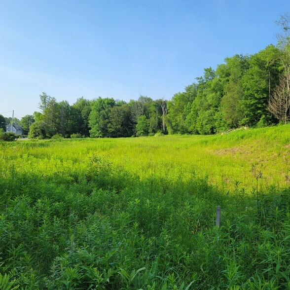 More Photos Of 1283 Old Route 17, Ferndale Land For Sale