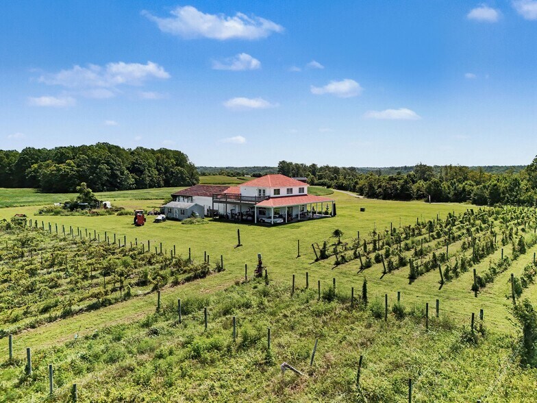 More Photos Of 495 Meadow Landing Ln, Caret Winery Vineyard For Sale