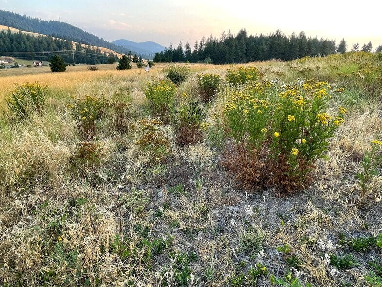 More Photos Of TBD S. Hwy 95 hwy, Worley Land For Sale