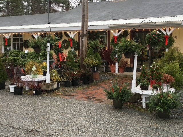 More Photos Of 398 Main Street, Groton Specialty For Sale