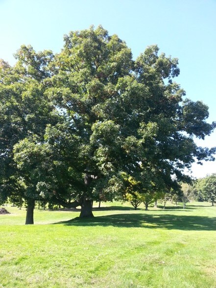 More Photos Of 318 Tanglewood Rd, Pulaski Golf Course Driving Range For Sale