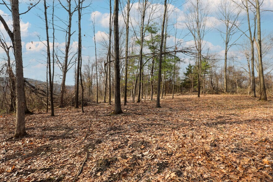 More Photos Of 625 Broadway, Ulster Park Land For Sale