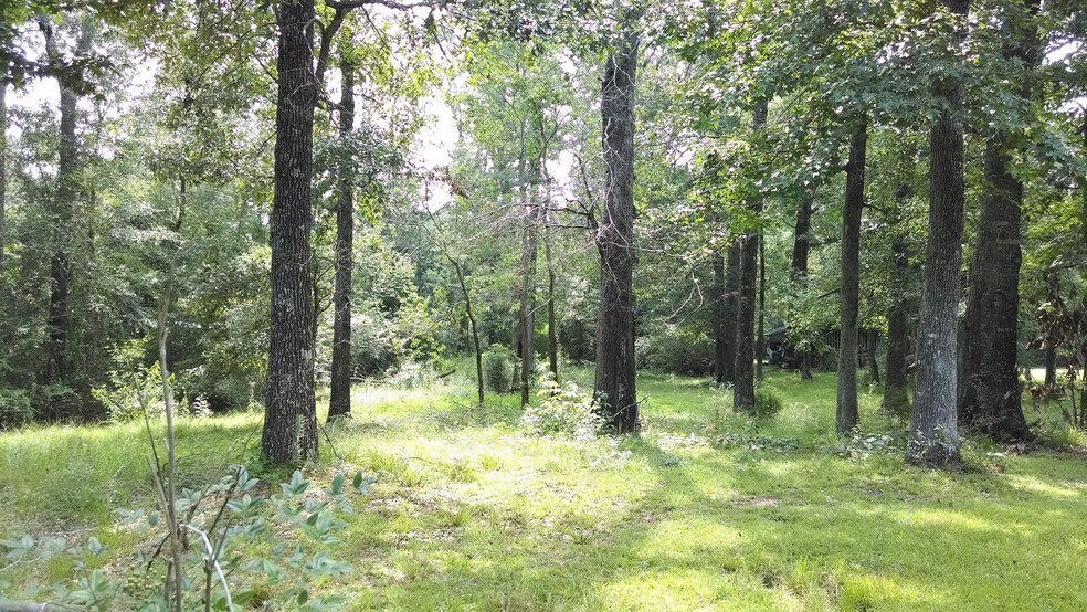 More Photos Of 4420 Highway 145, Waynesboro Land For Sale