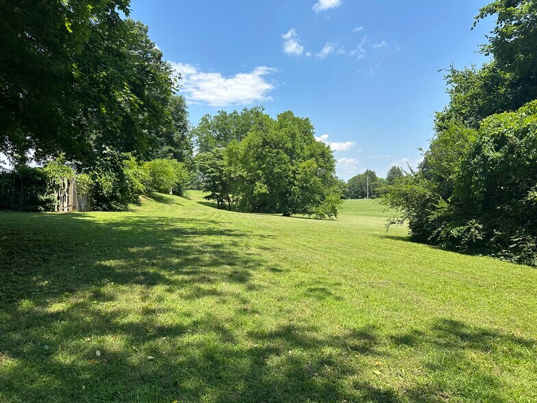 More Photos Of 945 Crescent, Louisville Land For Sale