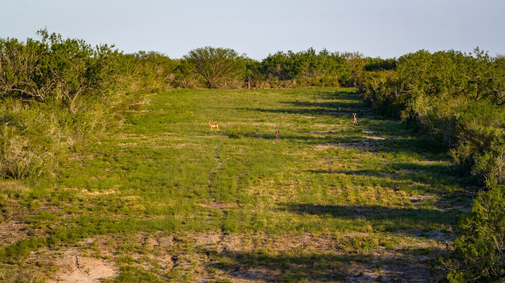 More Photos Of FM 791, Campbellton Land For Sale