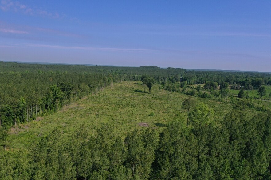 Primary Photo Of 00 Everett Chappell Rd, Mount Gilead Land For Sale
