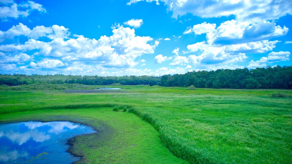 More Photos Of 3267 Neff Lake Rd, Brooksville Land For Sale