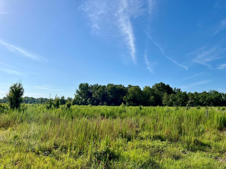 Primary Photo Of 0 Tucker Grove Church Rd, Wrightsville Land For Sale