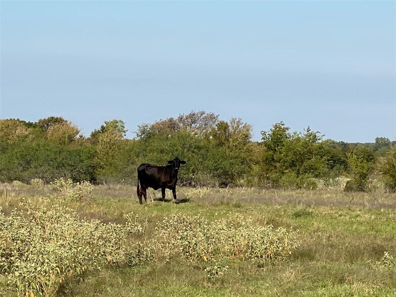 More Photos Of 0 St Hwy 198 hwy, Mabank Land For Sale