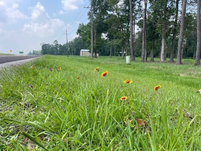 More Photos Of 4106 Hwy 69 S Hwy, Lumberton Land For Sale