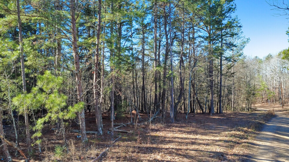 More Photos Of 277 Bethel Church Rd SE, Silver Creek Land For Sale