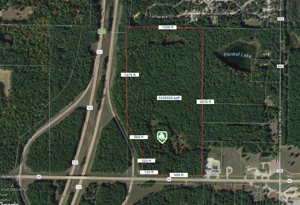 More Photos Of 0000 W M46 Rd, Edmore Land For Sale