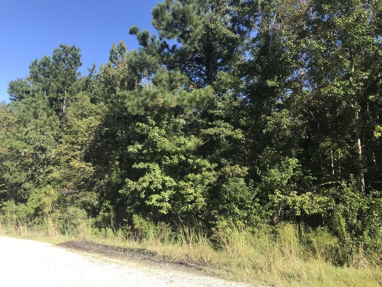 More Photos Of 509 Hermitage Rd, Castle Hayne Land For Lease