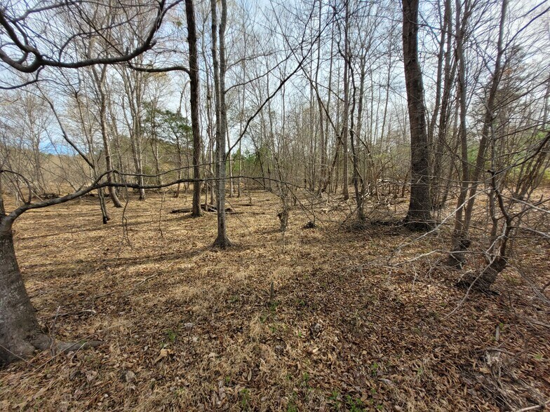 More Photos Of 0000 N. Frazier Rd, Mebane Land For Sale