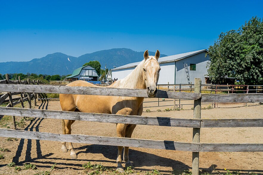More Photos Of 42050 Keith Wilson Rd, Chilliwack Land For Sale