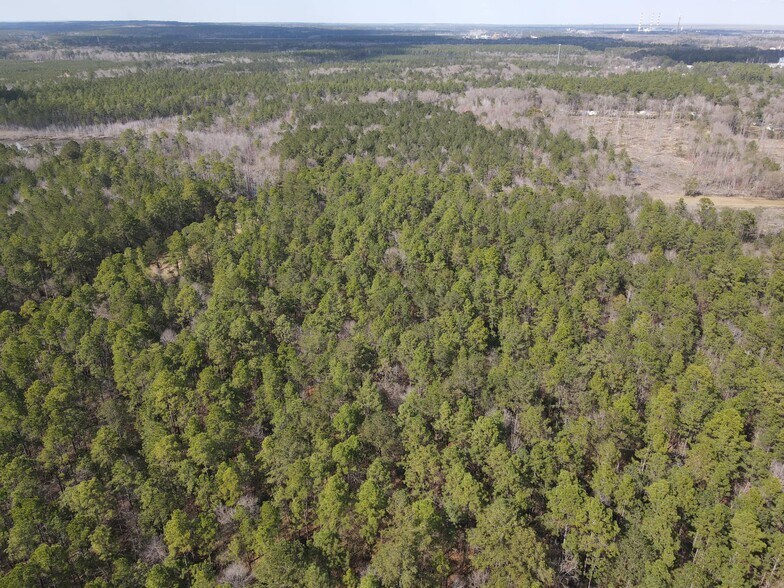 More Photos Of 0 Highway 43 N., Axis Land For Sale