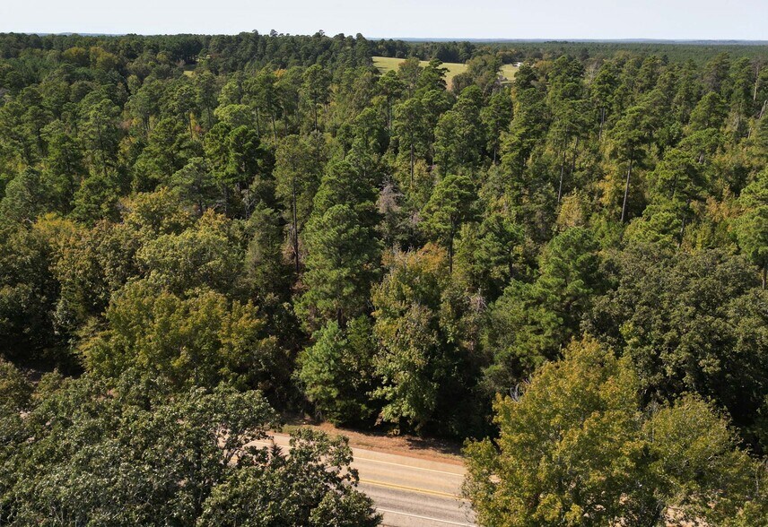 More Photos Of TBD Texas 43 hwy, Bivins Land For Sale