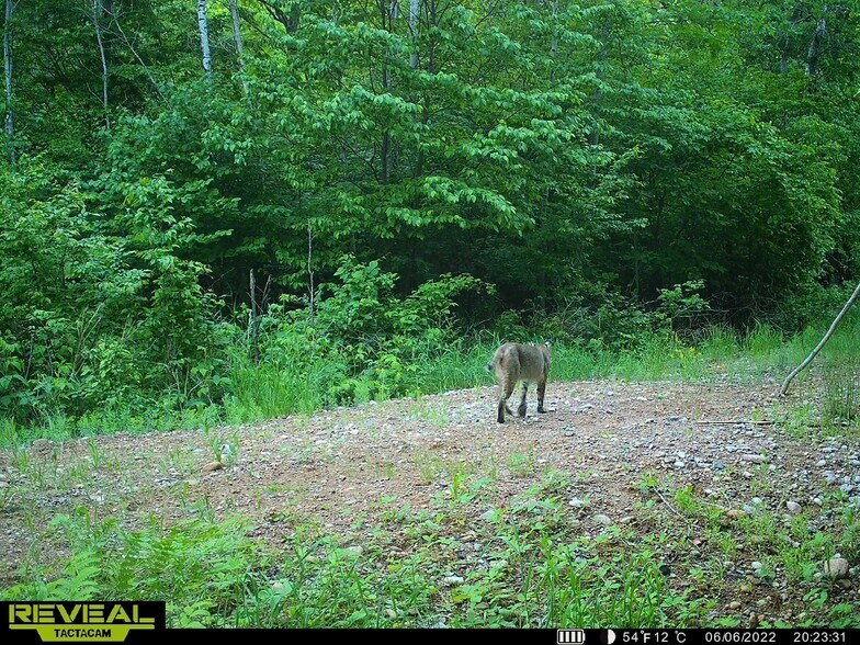 More Photos Of Fisher Road, Iola Land For Sale
