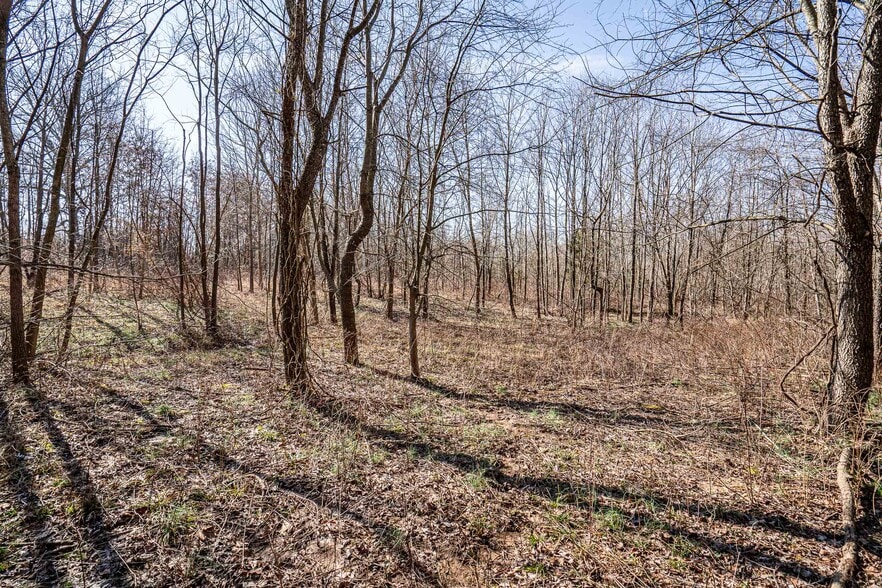 More Photos Of 0 Wilson Rd, Radcliff Land For Sale