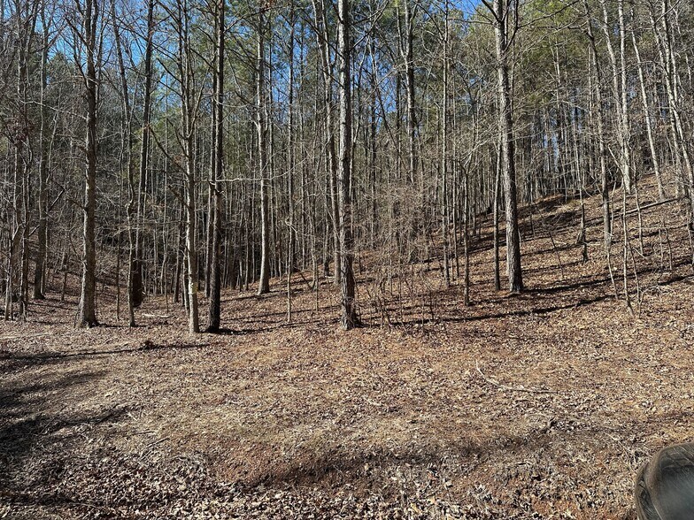 More Photos Of 3472 Prior Station Rd, Cedartown Land For Sale