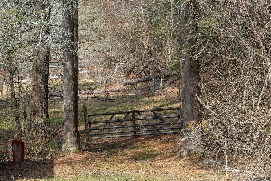 Primary Photo Of 1720 Brevard Rd, Arden Land For Sale