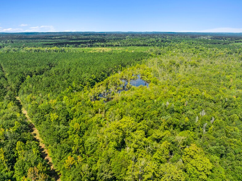 More Photos Of 7471 Highway 155, Saline Land For Sale