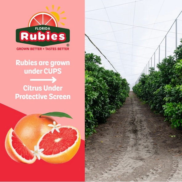 More Photos Of 2050 80 Foot Rd, Bartow Land For Sale