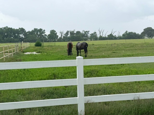 More Photos Of 6832 FM 2931, Aubrey Land For Sale