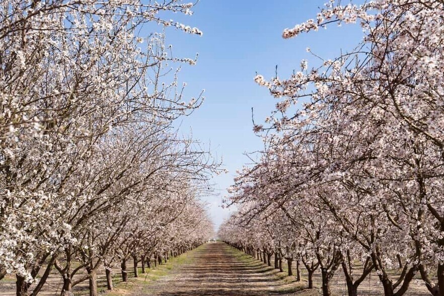 More Photos Of E Terra Bella Ave @ Rd 140, Pixley Land For Sale