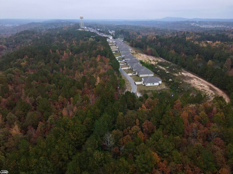 More Photos Of EO Road, Odenville Land For Sale