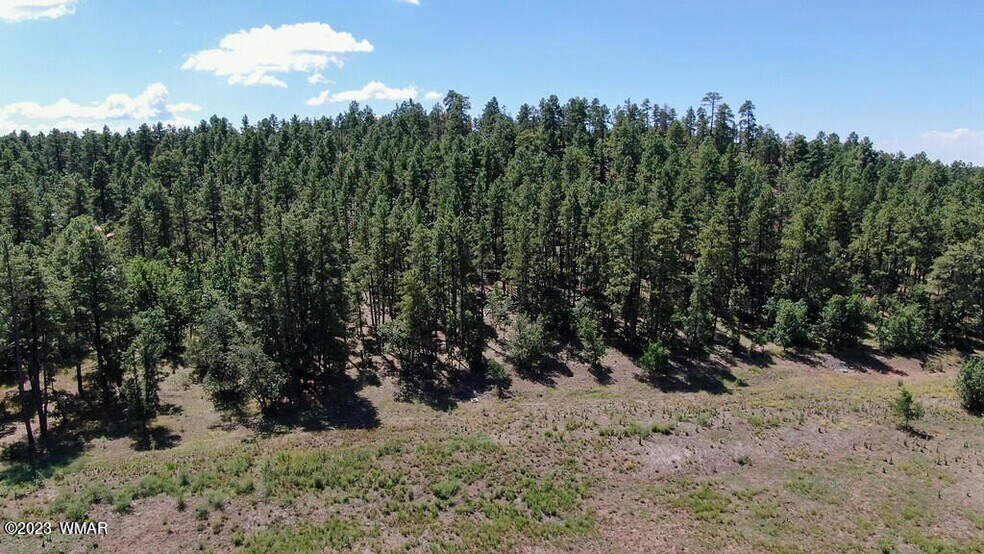 More Photos Of SEC Penrod Ln & Highway 260, Pinetop Land For Sale