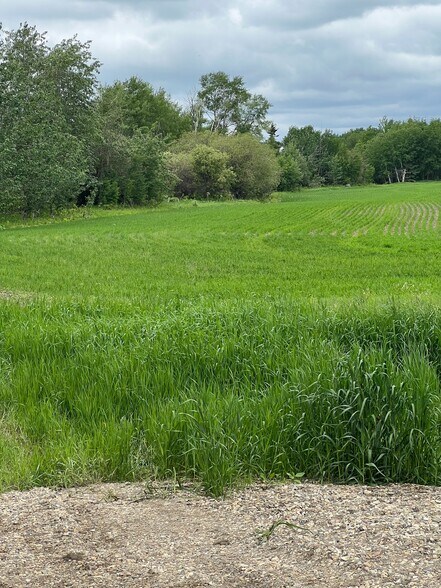 More Photos Of 714002 Range Road 85, Wembley Land For Sale