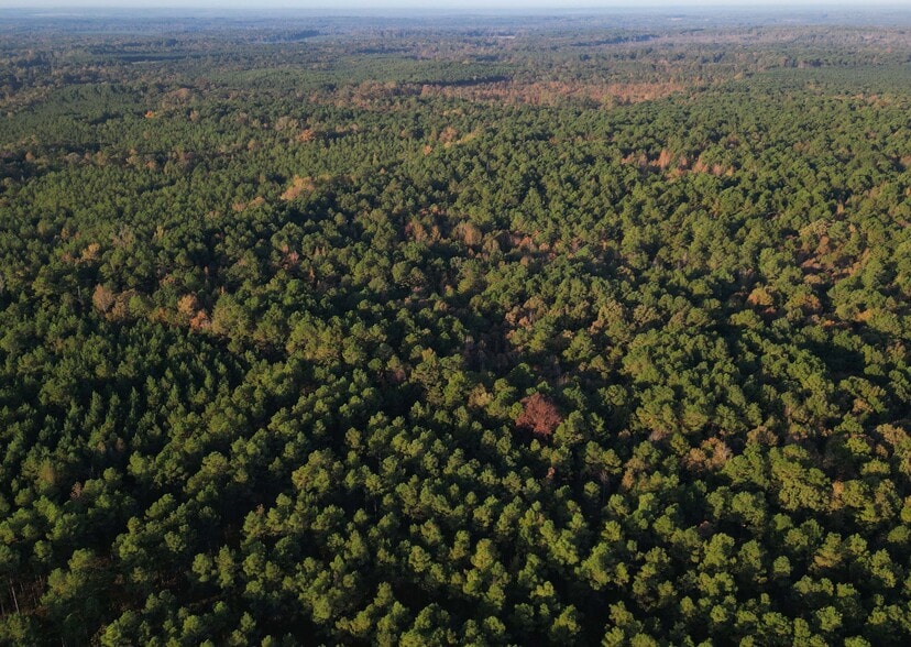 More Photos Of TBD Miller County 32, Doddridge Land For Sale