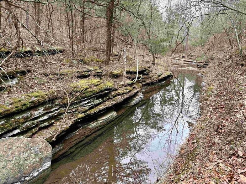 More Photos Of 155 Sweet Gum Holw, Rose Bud Land For Sale