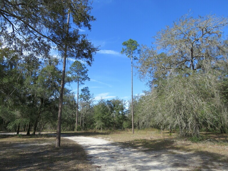 More Photos Of 9570 NE 35th st, Bronson Land For Sale