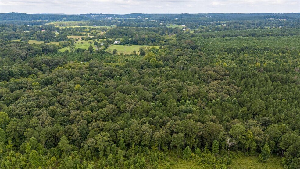 More Photos Of 0 Poindexter SE Dr, Cleveland Land For Sale