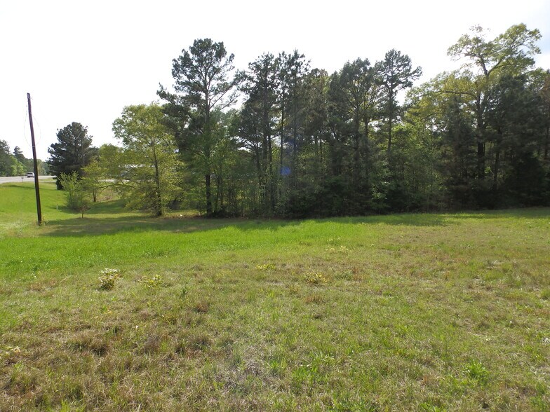 More Photos Of 19522 HWY 155, Flint Land For Sale